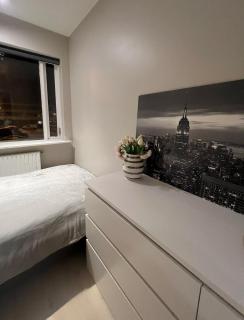 Cozy Apartment Near Downtown - 4