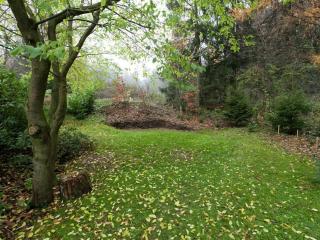 1 bedroom apartment - Bad Grund - 9