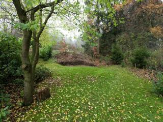 1 bedroom apartment - Bad Grund - 1