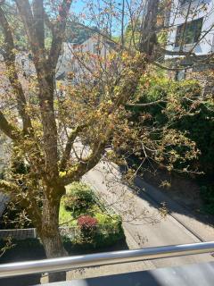 Hotel Haus Christa - Bad Bertrich - 9