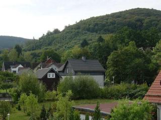 Holiday apartment with 2 bedrooms - Bad Harzburg - 7