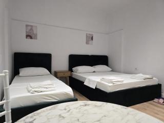 Villa new bazaar - Tirana - 1