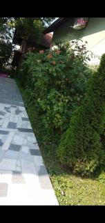 Villa Stup - Sarajevo - 3