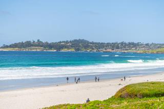 Carmel Romantic Escape for 2 - Carmel - 9