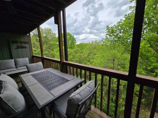 Swan's Woodland Getaway Condo - Reeds Spring - 9