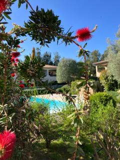 Les Jardins d’Alzetu - Porto Vecchio - 9