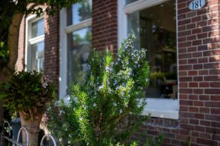 Your own floor in authentic picturesque dikehouse - dijkhuis181 - 6