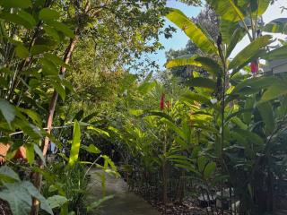 Villa Heliconia La Puente Surf House - 1