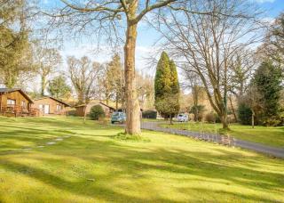 Ruthern Valley Holidays - Lanivet - 6