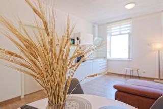 Modern family apartment in Bamberg - Bamberg - 3