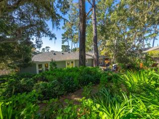 Azure Grove - Pebble Beach Tranquility for a Family of 8 - Pebble Beach - 7