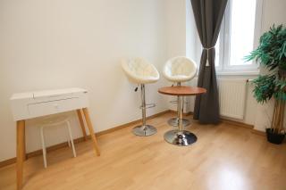 City Elegance Central Gem with FREE parking and FAST Internet 250 MBits - Vienne - 8