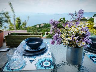 Νοσταλγός-Πέτρινο σπίτι με θέα στο Αιγαίο - 7