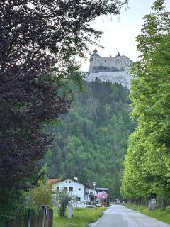 D'Fidlerin - Werfen - 1