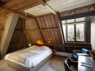 Farmhouse between the Frisian lakes on the water - Woudsend - 5