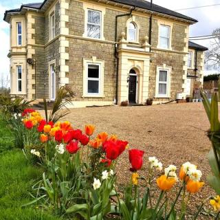 Dubarry Downs Annexe (Hot Tub) - Wroxall - 1