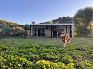 Vivienda en Cuchi Corral - Los Puquios - 1