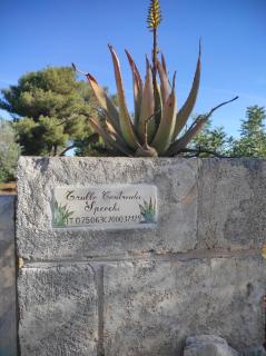 Trullo Contrada Specchi - Racale - 4