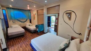 Cozy Hosting Galapagos - Puerto Ayora - 9