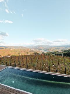 Casa da Quinta de Santa Cruz - Private Pool - Douro Valley - by MET - Loureiro - 0