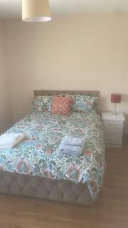 O'Brien's Cosy Apartment - Galway - 1