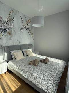Sunny - Stepnica - 6