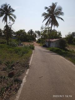 Milpearl - Orlim - 2
