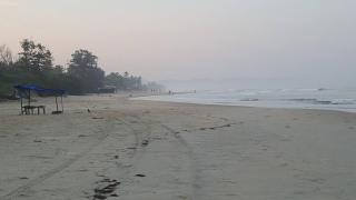 Milpearl - Orlim - 1