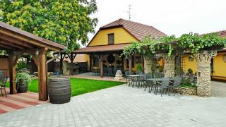 Penzion Archivní sklepy - Valtice - 9