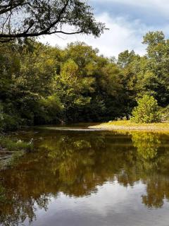NEW! Hiker's Haven | Hot Tub | Private River | Lux - Stanton - 3