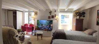 Paris Authentic House 2 Maisons 1 studio ideale pour groupes, capacité 30 personnes - Paris - 7