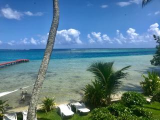 Poerani Moorea - Moorea - 8