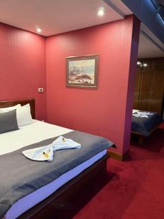 Hotel Astra - Sarajevo - 9
