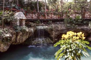 Private pool & Cenote Villa Kava - Tulum - 9