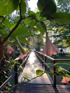 Hospedaje Corazón Alado, Islas - Tigre - 8