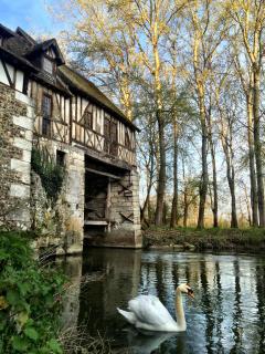 Le Moulin d'Andé - Andé - 5