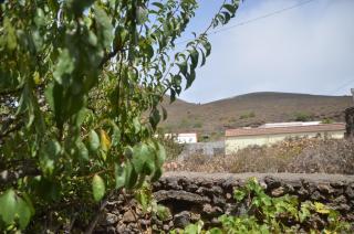 Casa La Huerta - San Andrés - 9