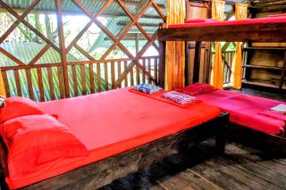 Paraíso Ayahuasca Hotel & Tours - Puerto Nariño - 3