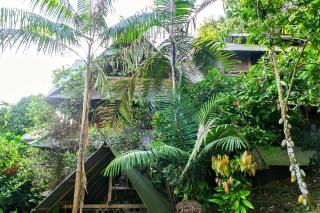 Paraíso Ayahuasca Hotel & Tours - Puerto Nariño - 9