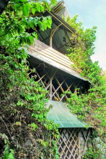 Paraíso Ayahuasca Hotel & Tours - Puerto Nariño - 7
