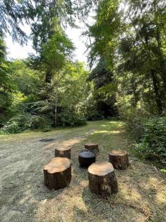 The Black Bear Cabin - 1