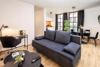 Black Diamond Apartment I Zentrum I Parken I Küche I WLAN I - Maagdenburg - 8