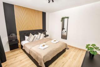 Black Diamond Apartment I Zentrum I Parken I Küche I WLAN I - Maagdenburg - 4