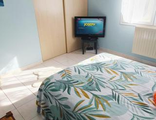 Chambre villa sdb privée, parking, wifi & bureau - Labarthe-sur-Lèze - 7