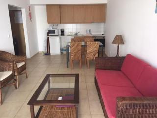 Riviera Praia da Rocha Pool&Terrace Flat - Portimão - 5