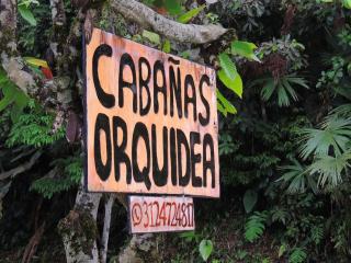 Cabañas orquídea - Norcasia - 9