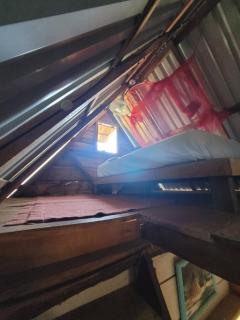 Coconut House - 8