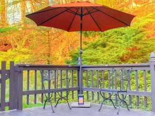 Brookfield Lakeside Oasis - Brookfield - 5