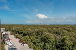 Breeze Oasis C- 203 - 5