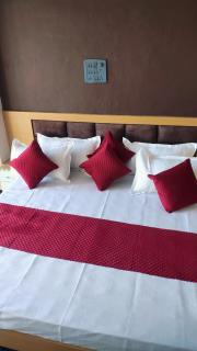 Hotel Krishna Palace - - 2